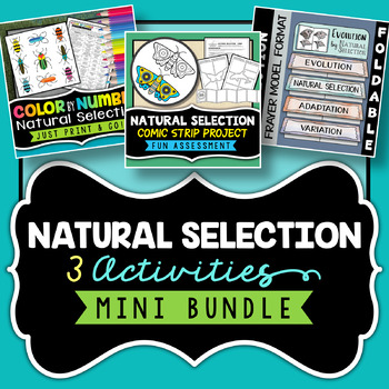 Preview of Natural Selection Activities Bundle | Foldable | Color By Number | Project