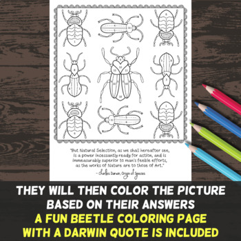 Natural Selection Color By Number - Use for a Worksheet, Test Review