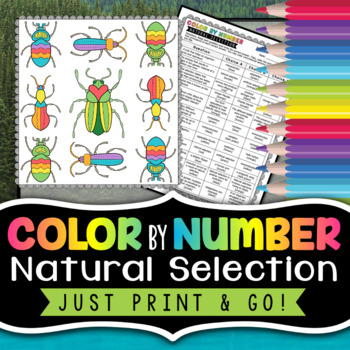 Preview of Natural Selection - Science Color By Number | Review Worksheet