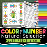Natural Selection - Science Color By Number | Review Worksheet