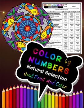 Preview of Natural Selection Color By Numbers