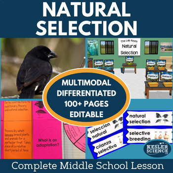 Preview of Natural Selection Grade 6 7 8 Science Lesson, Hands-on, Leveled Activities