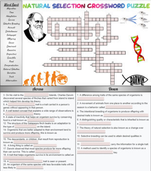 Natural Selection Crossword Puzzle Digital for Distance Learning
