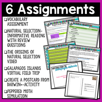 assignment grid pdf