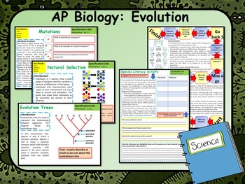 Preview of Natural Selection - Evolution, Species & Mutations PowerPoint and Handouts