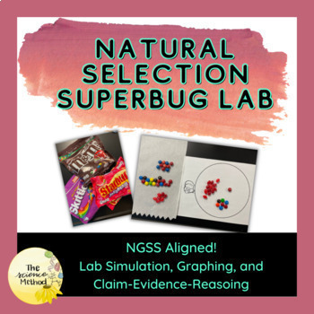 Preview of Natural Selection - Evolution- Superbugs Lab - EDITABLE 