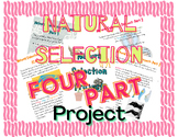 Natural Selection FOUR PART Project