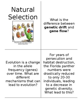 Preview of Natural Selection Flashcards