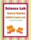 Natural Selection Goldfish Cracker {Hands-on Lab}