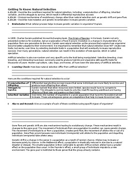 Natural Selection Guided Reading by Dorff Bio | TpT