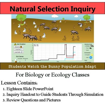 Preview of Natural Selection Inquiry - Online Guided Simulation on Effects of Adaptations