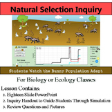 Natural Selection Inquiry - Online Guided Simulation on Ef