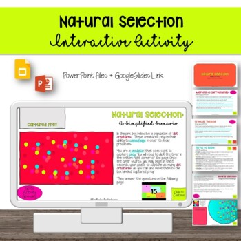 Preview of Natural Selection Interactive Inquiry Activity [GoogleSlides]
