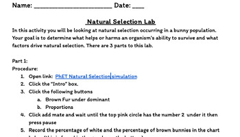 Preview of Natural Selection Lab