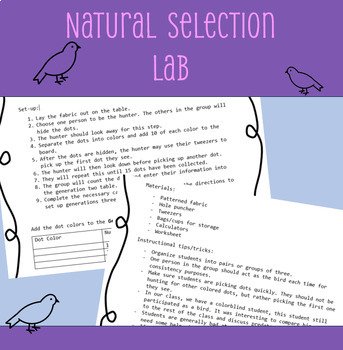 Preview of Natural Selection Lab