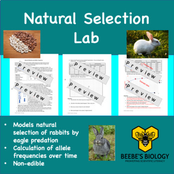 lab natural selection assignment reflect on the lab