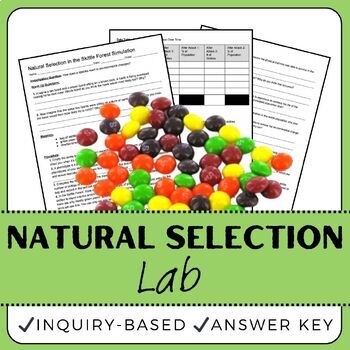 Preview of Natural Selection Lab - Survival of the Fittest - Middle School Science