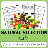 Natural Selection Lab - Survival of the Fittest - Middle S