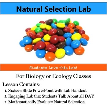 Preview of Natural Selection Lab - Use Math Evaluate Natural Selection & Evolution