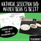 Natural Selection Lab: Which Beak is Best?