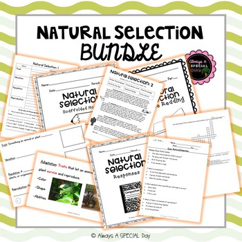 Preview of Natural Selection Bundle