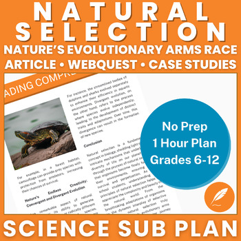 Preview of Survival of the Fittest: Darwin's Finches Evolution (NO PREP) Activities++