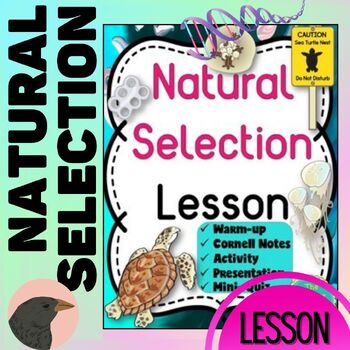 Preview of Natural Selection Notes Slides Activity Life Science Lesson