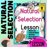 Natural Selection Notes Slides Activity Life Science Lesson