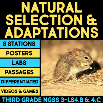 Preview of Natural Selection, Plant & Animal Adaptations 3rd Grade Science Labs Worksheets