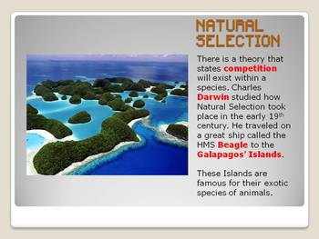 Preview of Natural Selection PowerPoint with student and teacher notes