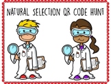 Natural Selection QR Code Hunt (Content Review or Notebook Quiz)