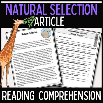 Preview of Natural Selection Reading Passage Comprehension | Darwin Finches
