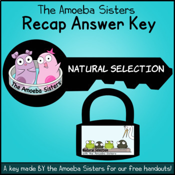 Preview of Natural Selection Recap Answer KEY by The Amoeba Sisters (ANSWER KEY)
