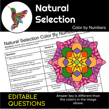 Natural Selection | Science Color By Number by Teaching Above the Test