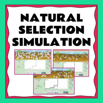 Preview of Natural Selection Simulation (PhET)