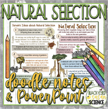 Preview of Natural Selection Doodle Notes & Quiz + PowerPoint