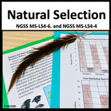 Natural Selection & Adaptation as Evidence for Evolution M