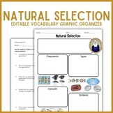 Natural Selection Vocabulary Graphic Organizer | Biology E