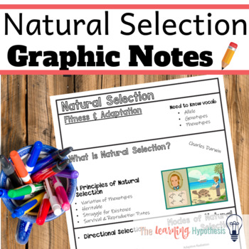 Preview of Natural Selection Worksheets.  Digital & Print.  Distance Learning.