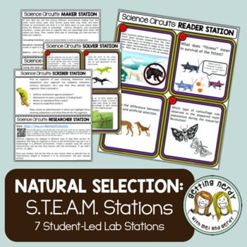 Preview of Natural Selection and Camouflage -  Evolution - Science Centers / Lab Stations