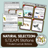 Natural Selection and Camouflage -  Evolution - Science Ce