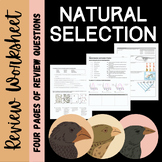 Natural Selection and Evolution Review