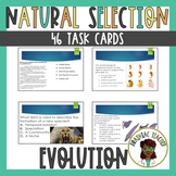 Natural Selection and Evolution TASK CARDS