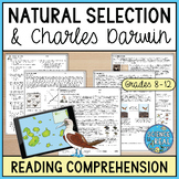 Natural Selection Reading Comprehension and Worksheets