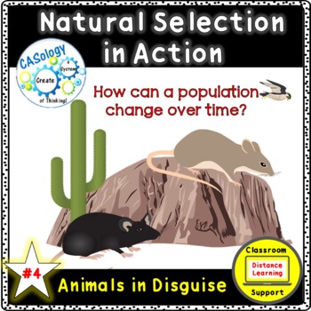 Phenomenon-Based Sequence: Natural Selection in Action #4: Animals in  Disguise