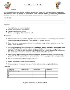 Natural Selection Lab Worksheets Teaching Resources Tpt