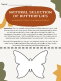 Natural Selection of Butterflies Scavenger Hunt activity