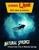Virtual Field Trip Internet Activity - Natural Springs - D
