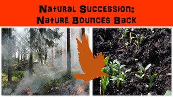 Preview of Natural Succession: Nature Bounces Back Lesson
