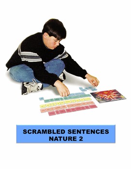 Preview of Nature 2 Scrambled Sentences Manipulatives